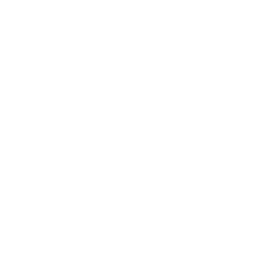 CE-Icon